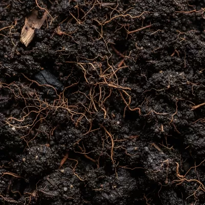 Imagen PNG para descargar